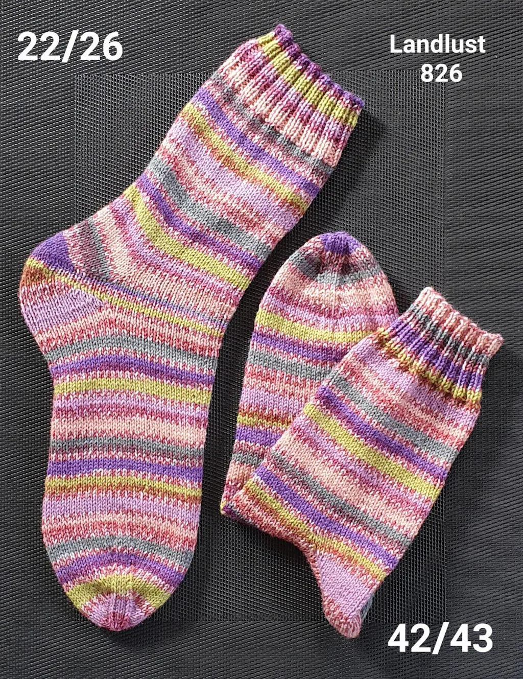 Landlust die Sockenwolle 826