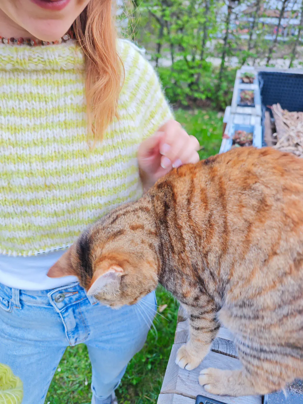 Alpaca Air II 002 Beige