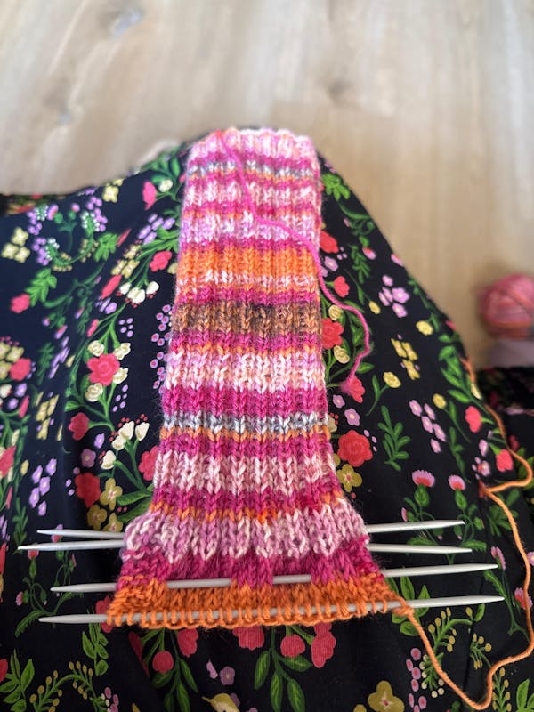 Meilenweit 100 Piccata 802