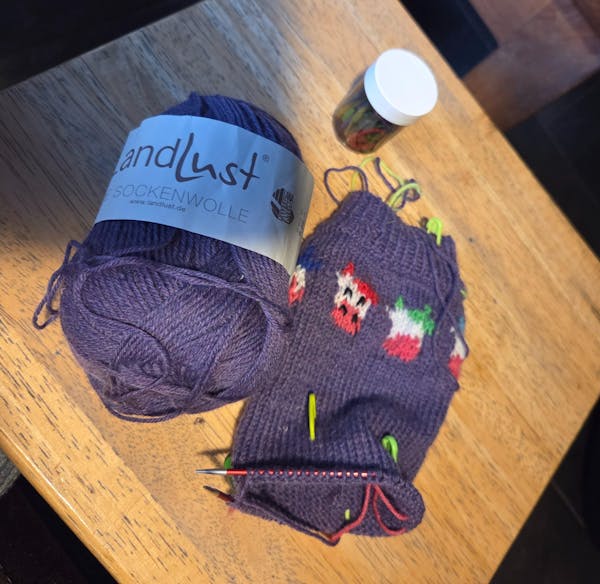 Landlust die Sockenwolle 50G Mélange 1601 Donkerviolet