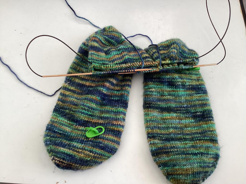 Rondbreinaalden Buche