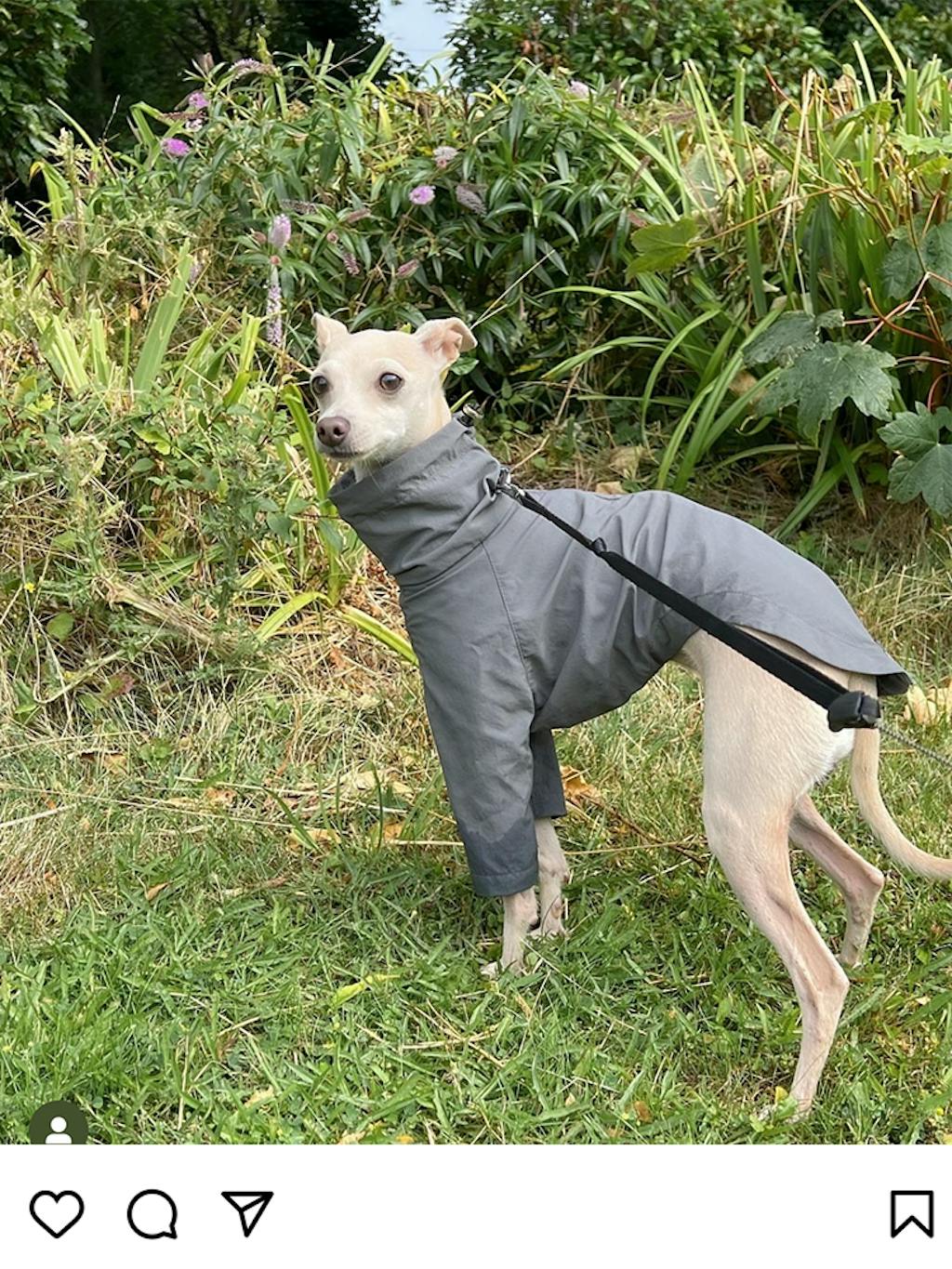 Body Suit for Dogs Full Body Dog Suit with Feet KNOWZA