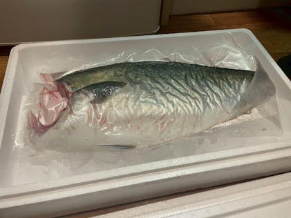 しんじょう君グッズ – 高知かわうそ市場