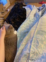 Пользовательская картина