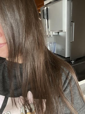 Cold Brunette Refresh - Bundle