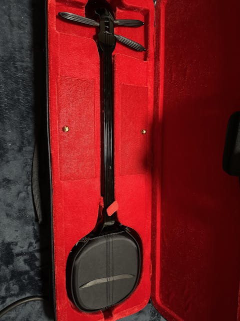 真壁型 黒塗り オールブラックデザイン三線