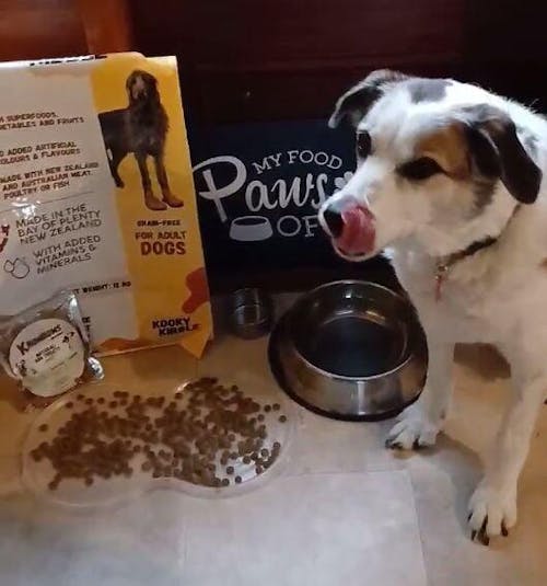Kooky Kibble NZ