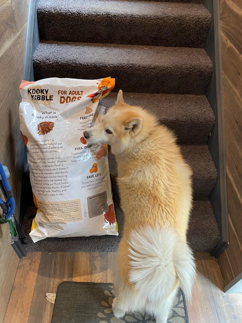 New Zealand Grain-Free Adult Dog Food (12/24 KG)