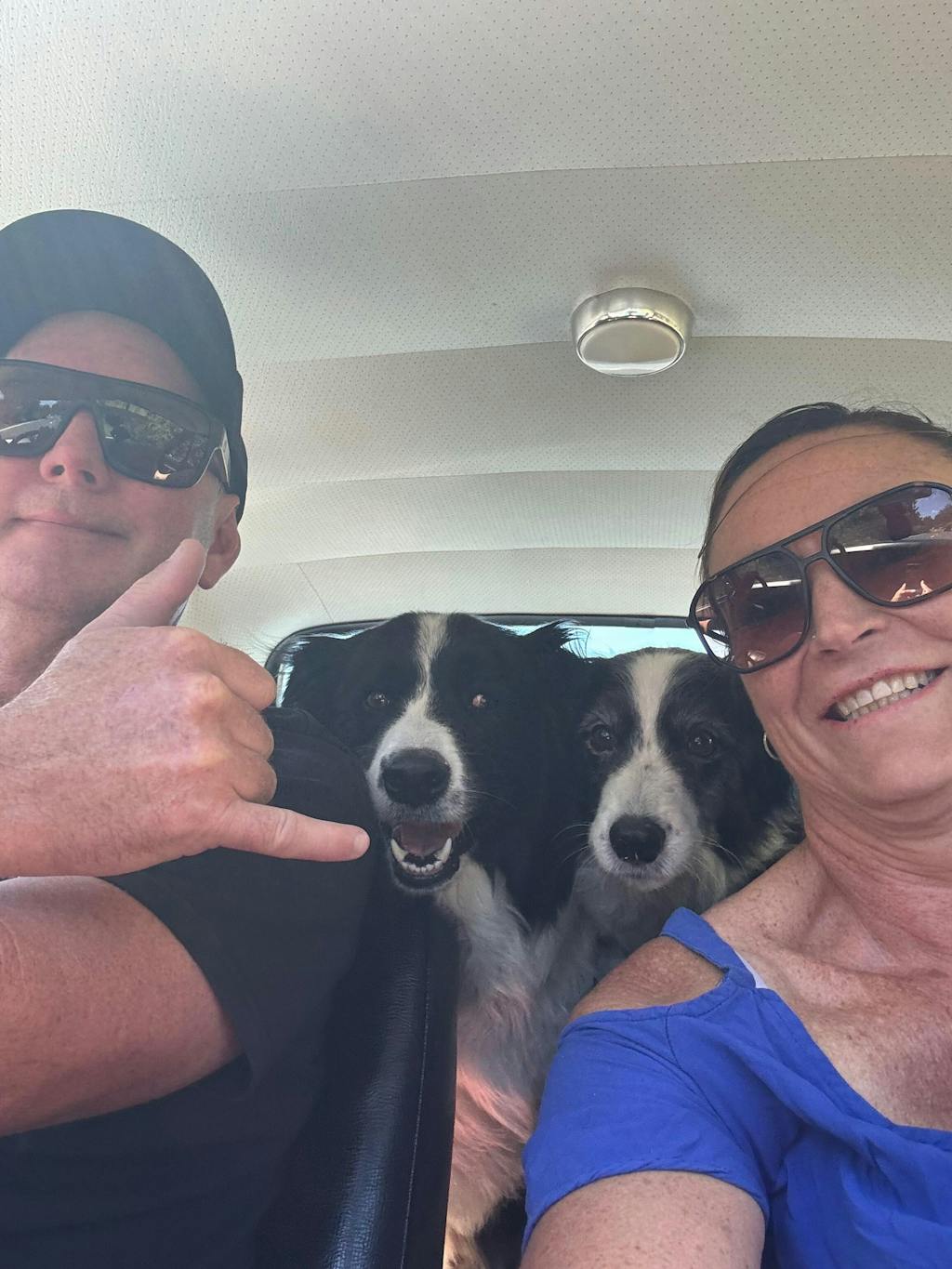 New Zealand Grain-Free Adult Dog Food (12/24 KG)