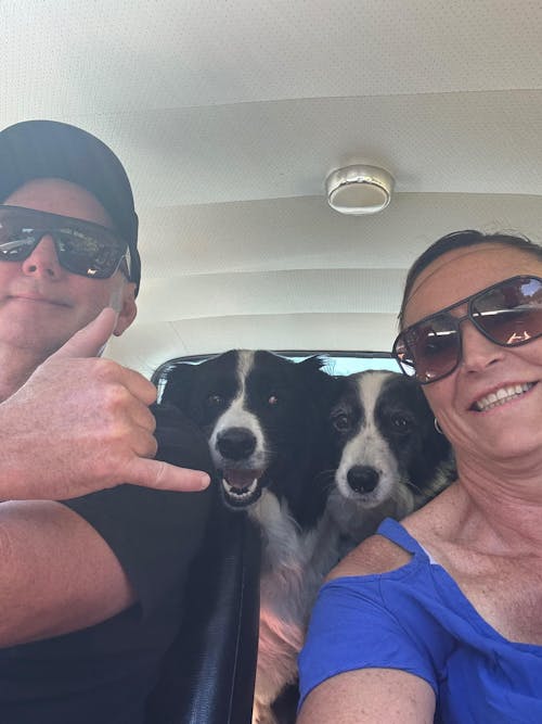 New Zealand Grain-Free Adult Dog Food (12/24 KG)