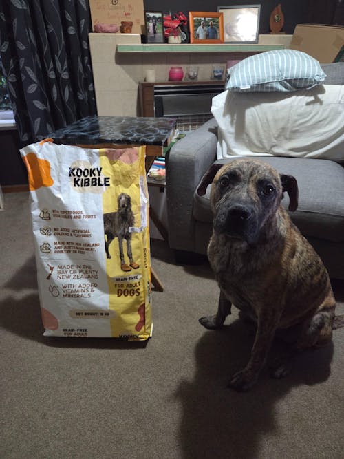 New Zealand Grain-Free Adult Dog Food (12/24 KG)