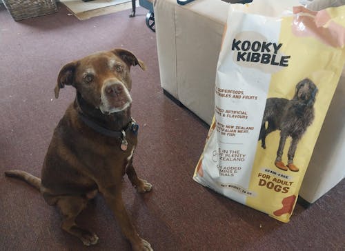New Zealand Grain-Free Adult Dog Food (12/24 KG)