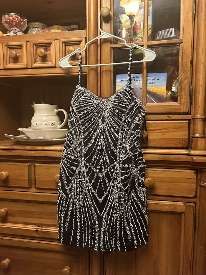 Sheath/Column Scoop Short Sequin Homecoming Dress With Beading Sequins