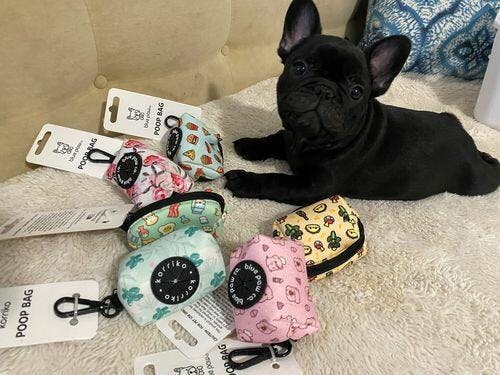 【ぴょんきち】BISERA-30粒×3 Poop Bag Dispenser Pizza | Korriko – Korriko Pet Supply