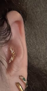 صورة المستخدم