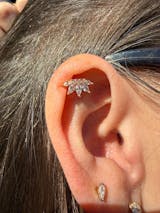 Zdjęcie użytkownika