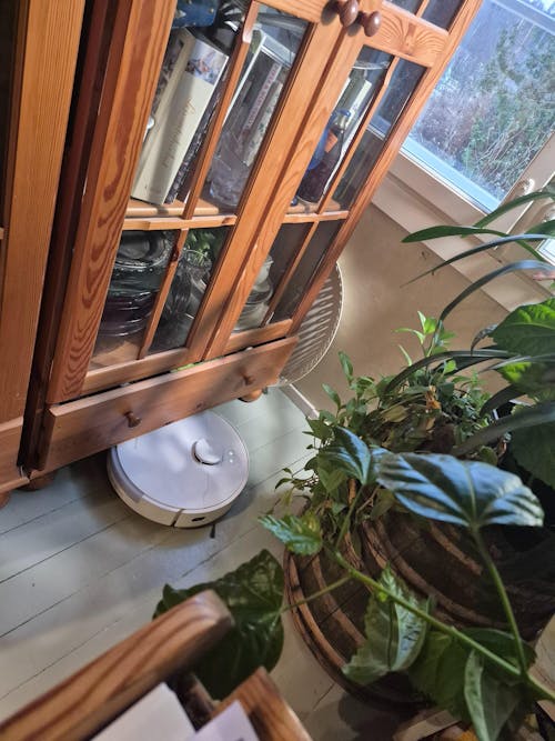 Dreame D20 Plus robotti-imuri & -moppi + tyhjennystelakka