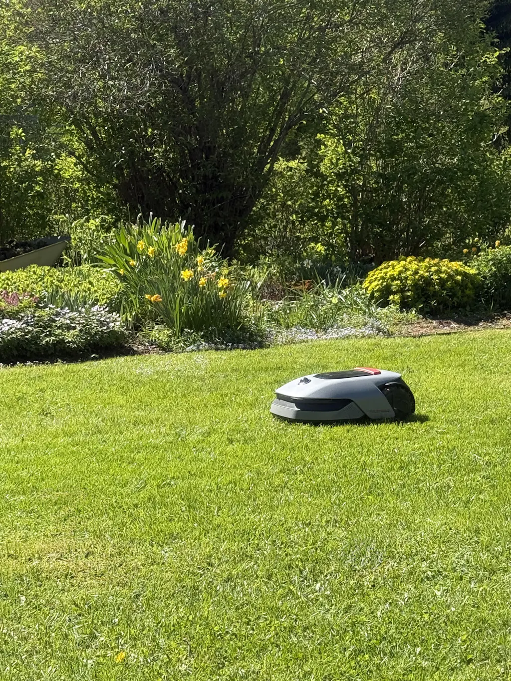 Dreame A1 Pro rajalangaton robottileikkuri (2000 m2)