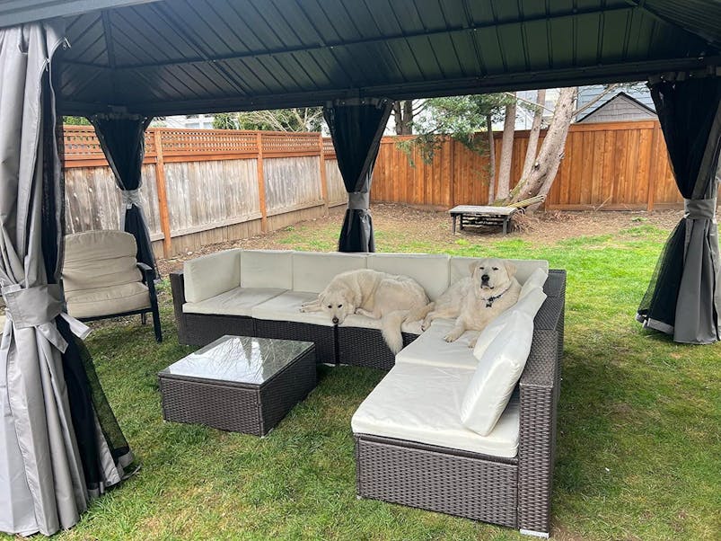 Kozyard Alexander 12' X 20' Hardtop Gazebo Aluminum Metal Gazebo with Galvanized Steel Double Roof Canopy, Curtain and Netting