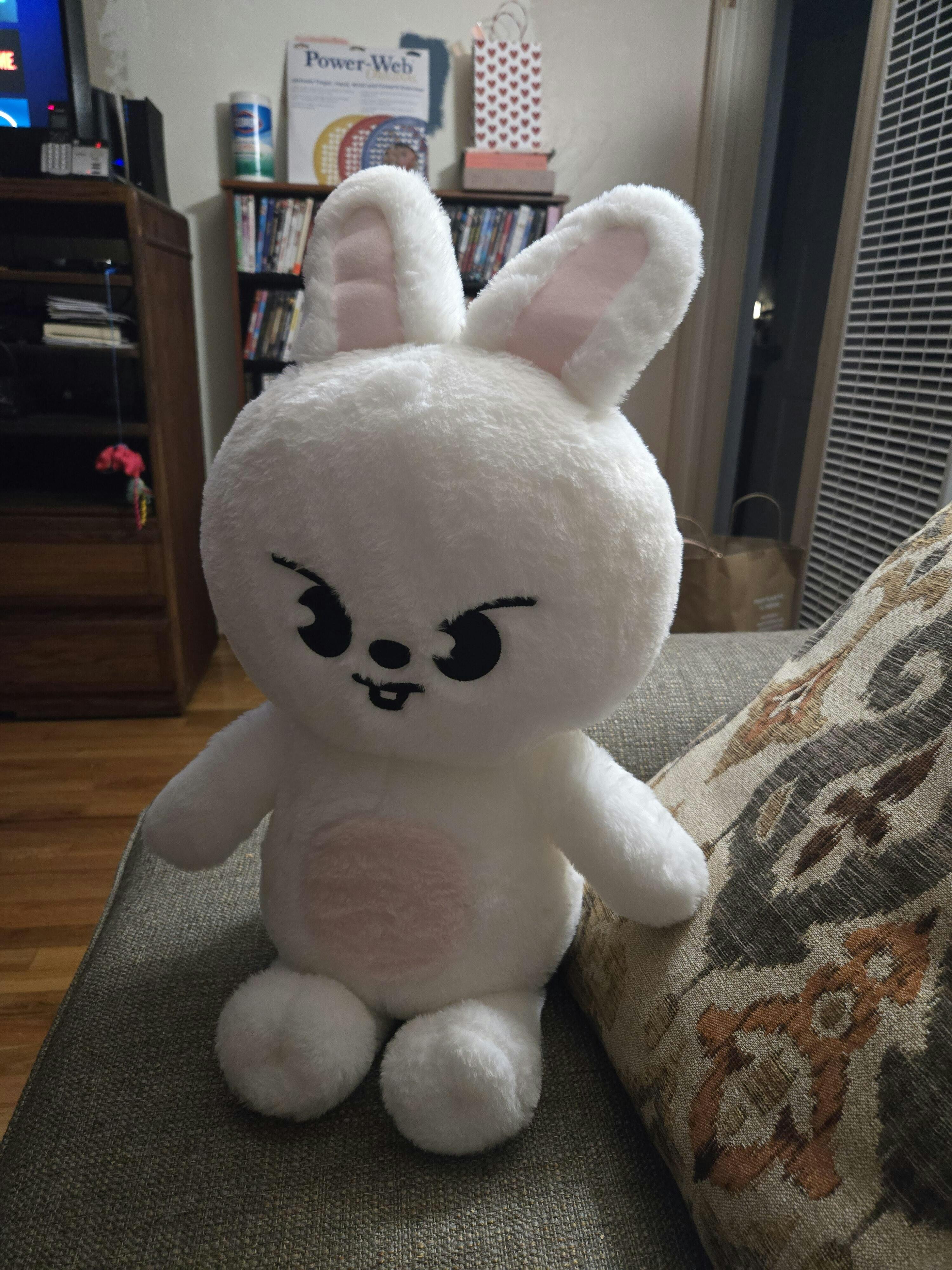 Dessin Animé Stray Kids Skzoo Peluche Porte-clés Sac Accessoires