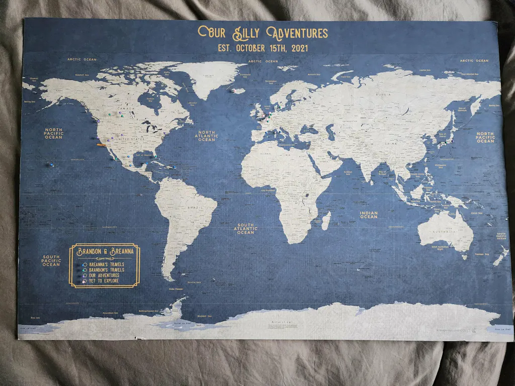 Push Pin Map - Executive Style World Map