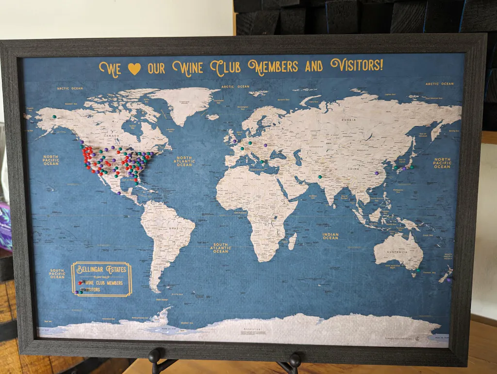 Push Pin Map - Executive Style World Map