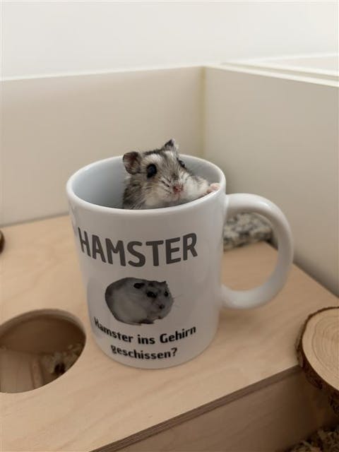 Nächster Halt halt die Fresse - Tasse