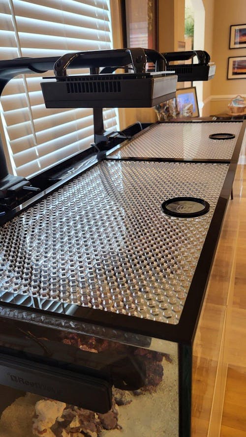 Tideline AIO 62G Lagoon Honeycomb Lid