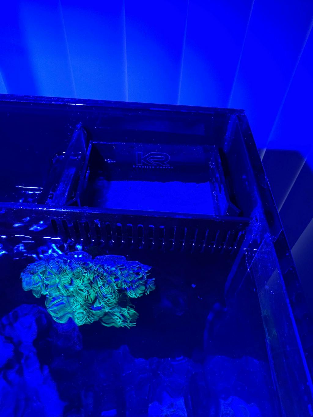 IceCap AIO 60 Media Basket