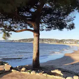 Eau Solaire Fraîche SPF 50