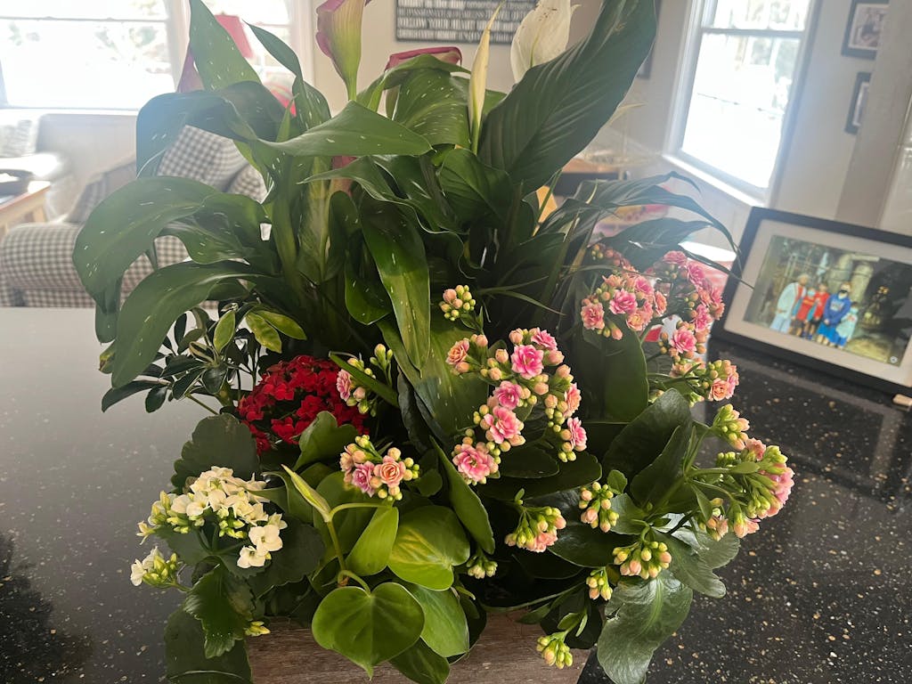 French Garden Planter