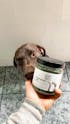 Enterokun Mild Perros (260 g) Suplemento para su Salud Intestinal