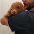 Superyellowkun (Perros y Gatos - 170 g) Suplemento para el Bienestar Gastrointestinal