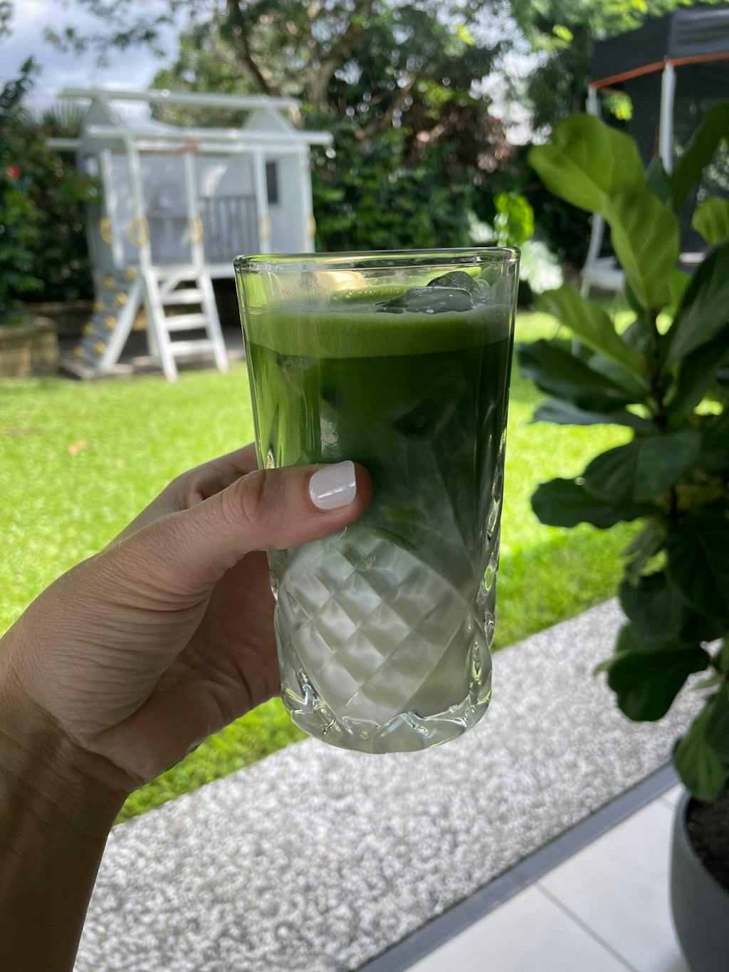 Ceremonial Uji Matcha Powder