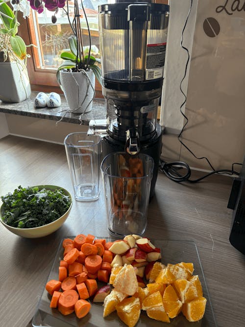 AUTO10S HANDS-FREE SLOW JUICER