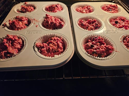 AUTO10S HANDS-FREE SLOW JUICER