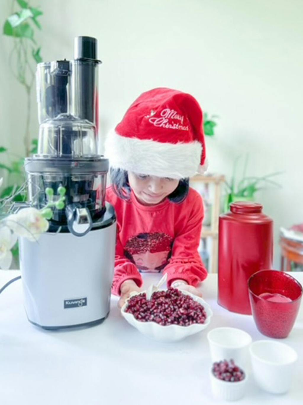 Whole Slow Juicer REVO830 Kuvings UAE