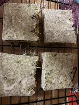 L'atelier des Mandragores