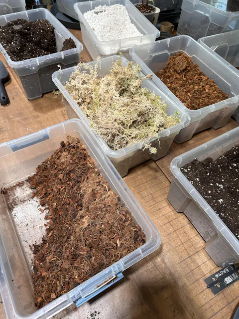 Atelier - Rempoter ses plantes