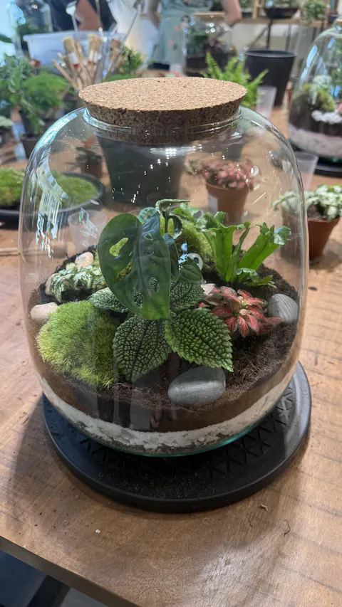 Atelier - Créer son terrarium