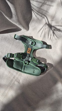 Arnés Adventure Jungle