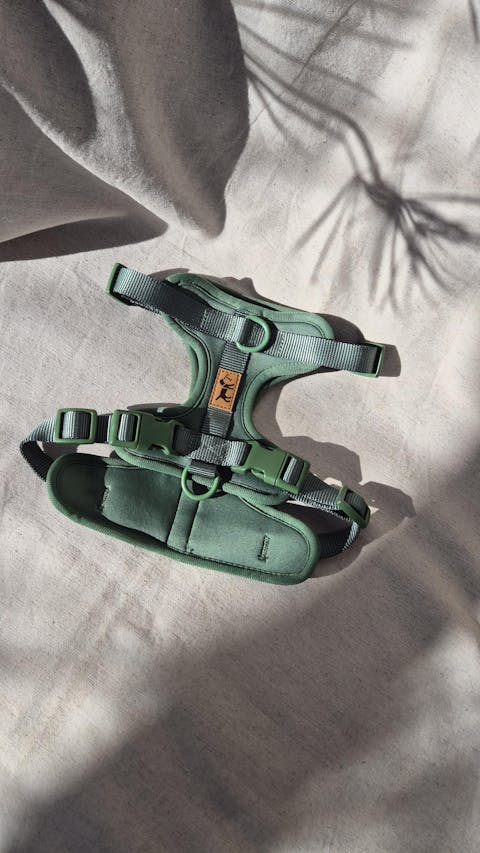 Arnés Adventure Jungle