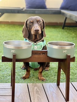 Comedero elevado doble Nordic