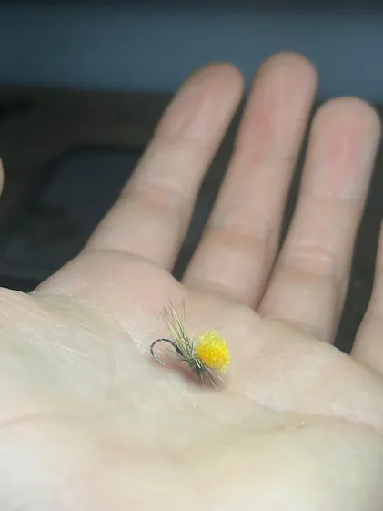 6 Pièces Mouches Nymphes Réalistes pour Pêche Eurres De 6 Pièces Mouches Nymphes Réalistes pour Pêche Eurres De