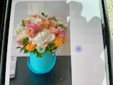 Sunny Delight in a Tiffany color box