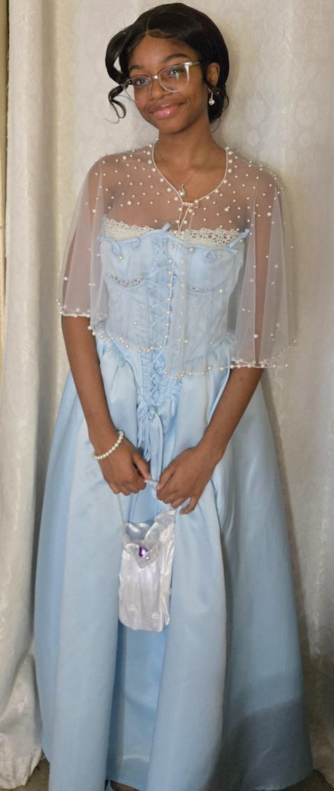 Cinderella Dress Ⅱ