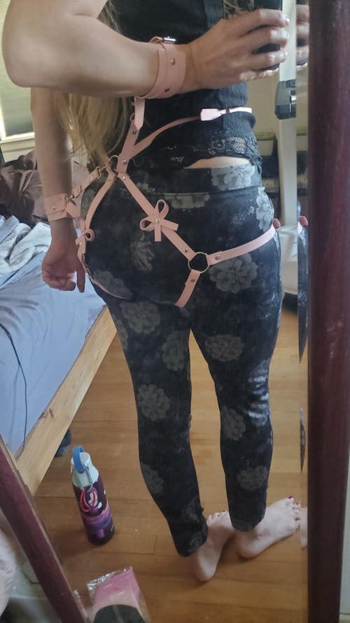 Lassy Harness