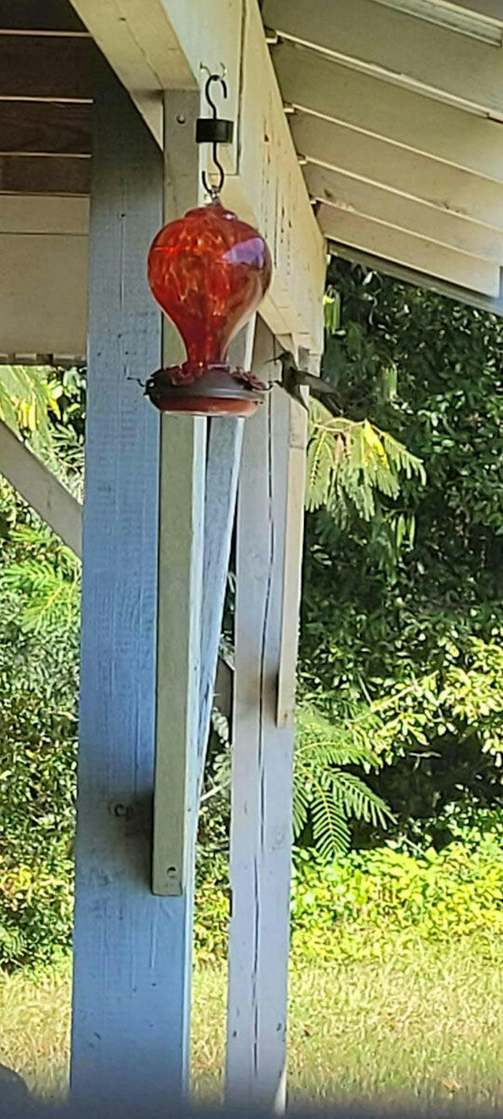 LaElvish Garden Blown Glass Hummingbird Feeder, 32 oz. Hot Air Balloon