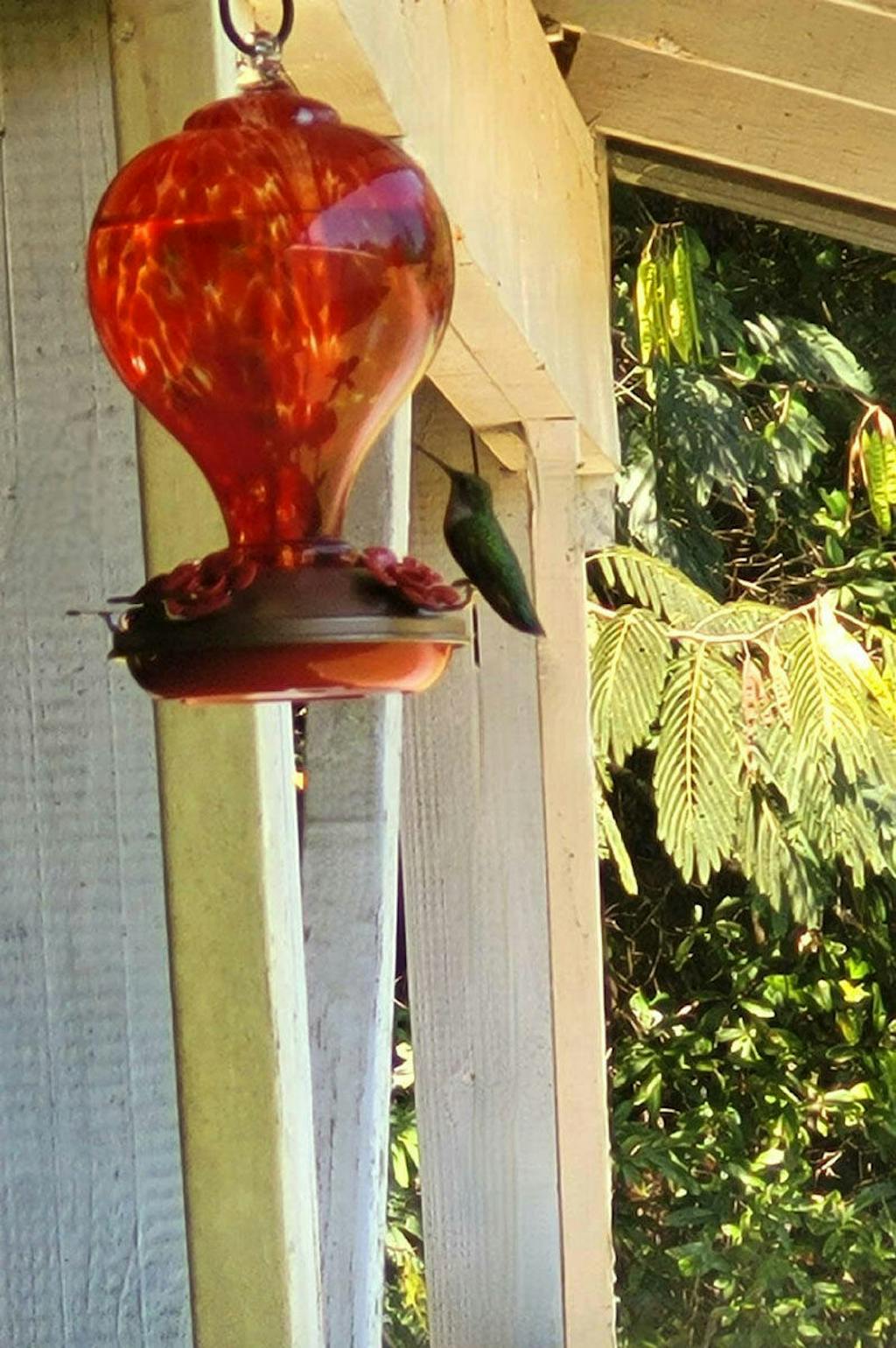 LaElvish Garden Blown Glass Hummingbird Feeder, 32 oz. Hot Air Balloon