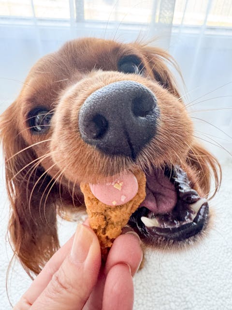 Laft Pet Cupcake & Dessert Mix Organic Dog Biscuits